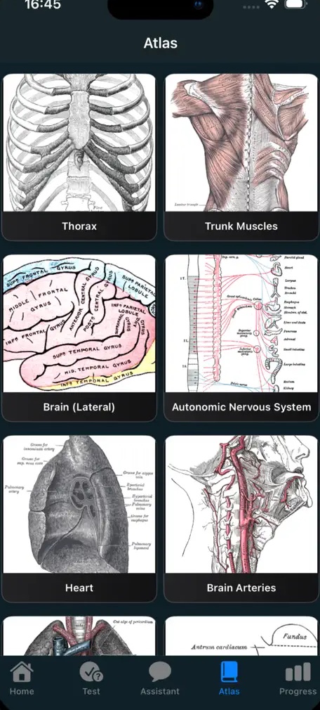 Schermata atlante anatomico
