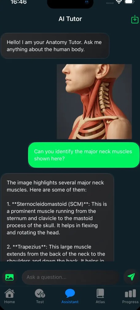 Schermata tutor AI di anatomia